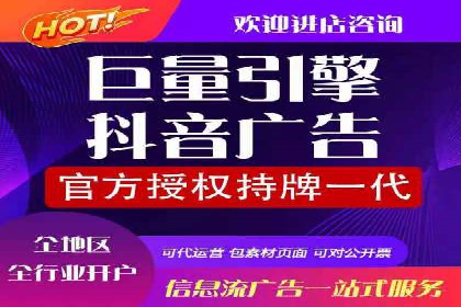 百度推广全攻略：成功案例剖析